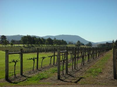 Werden alle mit viel Abstand zum Boden gezogen damit sie nicht zu viel Hitze kriegen